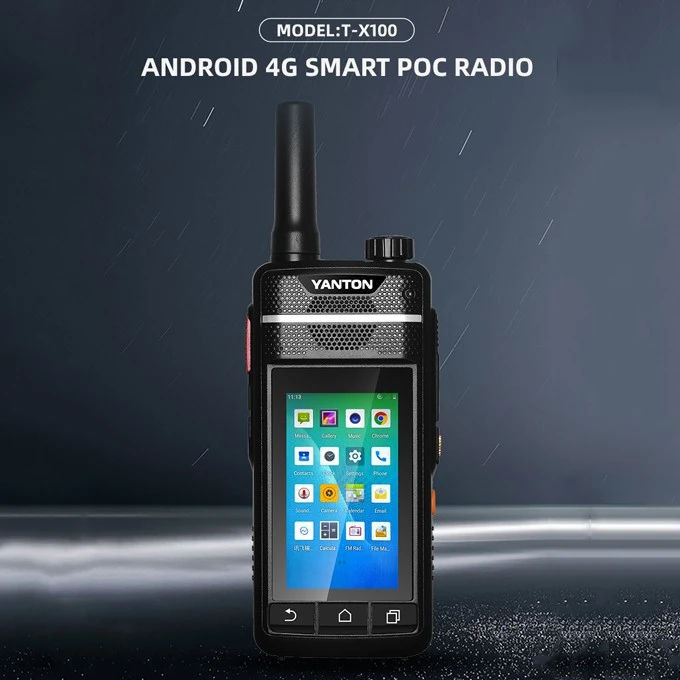 Mobile Public Network Walkie Talkie